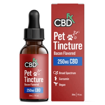 Can CBD Help Dogs With Hypertension?